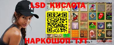 прущие крисы Моздок