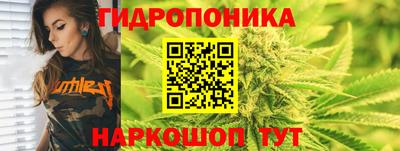 прущие крисы Моздок