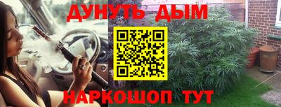 прущие крисы Моздок