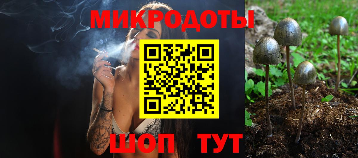 Тихвин  Галлюциногенные грибы MAGIC MUSHROOMS  Вход с VPN  Галлюциногенные грибы мицелий 