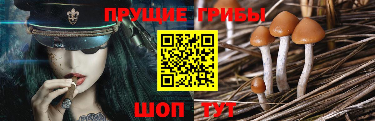 Галлюциногенные грибы GOLDEN TEACHER Тихвин